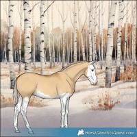 Horse Color:Palomino Dun Splash Varnish