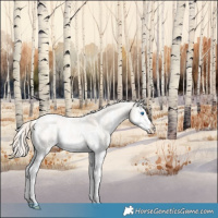 Horse Color:White Spotted Cremello Ice Roan Dun Splash Varnish 