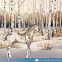 Horse Color:White Spotted Silver Bay Onyx Appaloosa Rabicano 