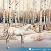 Horse Color:Palomino Roan Dun 