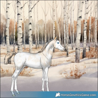 Horse Color:White Spotted Palomino Roan Dun Splash Blanket Rabicano 