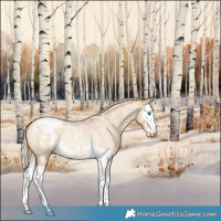 Horse Color:Palomino Roan Dun Splash Varnish Rabicano