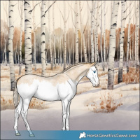 Horse Color:Palomino Roan Dun Splash 