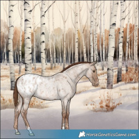 Horse Color:Red Dun Ice Roan Appaloosa Rabicano