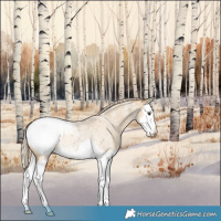 Horse Color:Palomino Ice Roan Dun Splash Snowcap Rabicano 