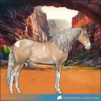Horse Color:White Spotted Chocolate Palomino Pearl Tobiano 