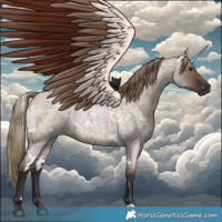 Horse Color:White Spotted Liver Red Dun Roan 