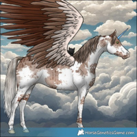 Horse Color:White Spotted Liver Red Dun Sabino Splash Brindle