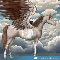 Horse Color:Grullo Ice Pearl Sabino Tobiano