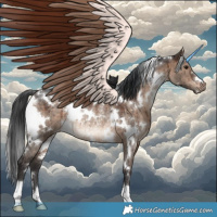 Horse Color:White Spotted Brown Dun Rabicano Brindle