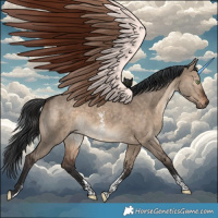 Horse Color:Brown Dun Sabino 