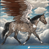 Horse Color:White Spotted Brown Dun Brindle 