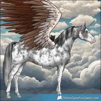 Horse Color:Brown Sabino