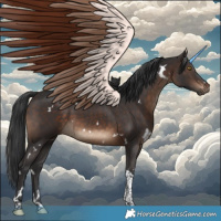 Horse Color:White Spotted Brown Tobiano