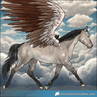 Horse Color:White Spotted Brown Dun