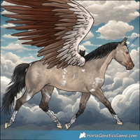 Horse Color:White Spotted Brown Dun Tobiano 