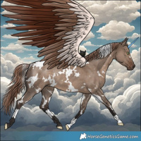 Horse Color:White Spotted Liver Red Dun Rabicano 