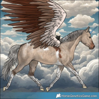 Horse Color:Silver Brown Dun Tobiano