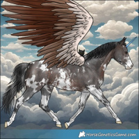 Horse Color:White Spotted Brown Sabino