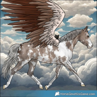 Horse Color:White Spotted Silver Brown Dun Sabino Brindle