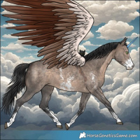 Horse Color:Brown Dun Sabino