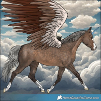 Horse Color:Silver Brown Dun 