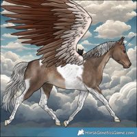 Horse Color:Silver Brown Dun Tobiano Brindle