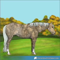 Horse Color:Painted Plaid Palomino Ice