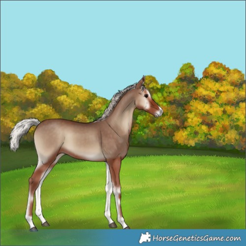 Horse Color:Silver Blue Onyx 