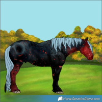 Horse Color:ERROR: UNKNOWN ANOMALY