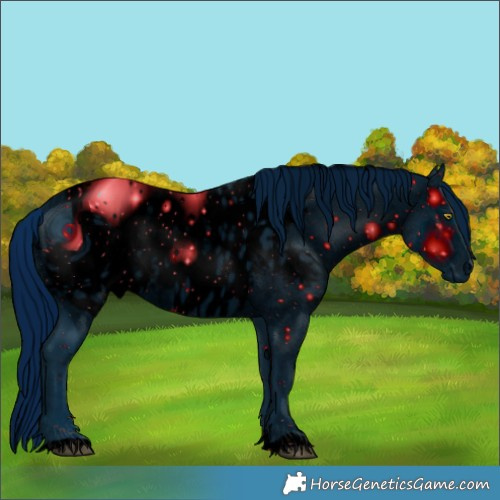 Horse Color:ERROR: UNKNOWN ANOMALY