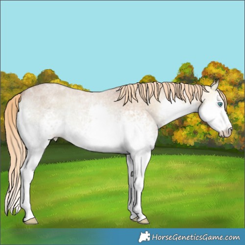 Horse Color:White Spotted Red Onyx Ice Roan Splash 