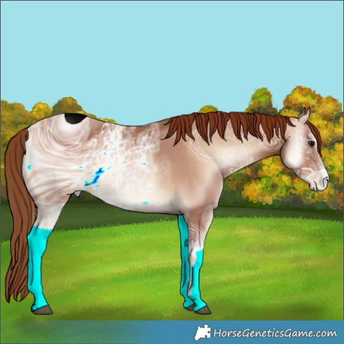 Horse Color:ERROR: UNKNOWN ANOMALY