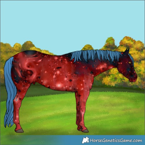 Horse Color:ERROR: UNKNOWN ANOMALY