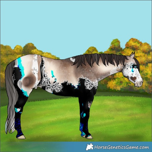 Horse Color:ERROR: UNKNOWN ANOMALY