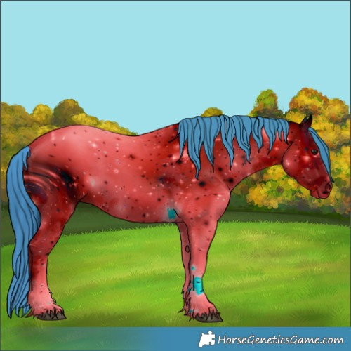 Horse Color:ERROR: UNKNOWN ANOMALY