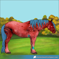 Horse Color:ERROR: UNKNOWN ANOMALY