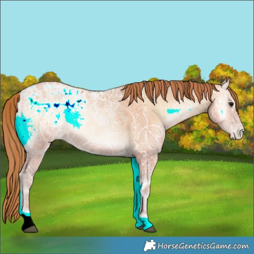 Horse Color:Bay Ice Pearl Onyx Rabicano 