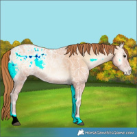 Horse Color:Bay Ice Pearl Onyx Rabicano 