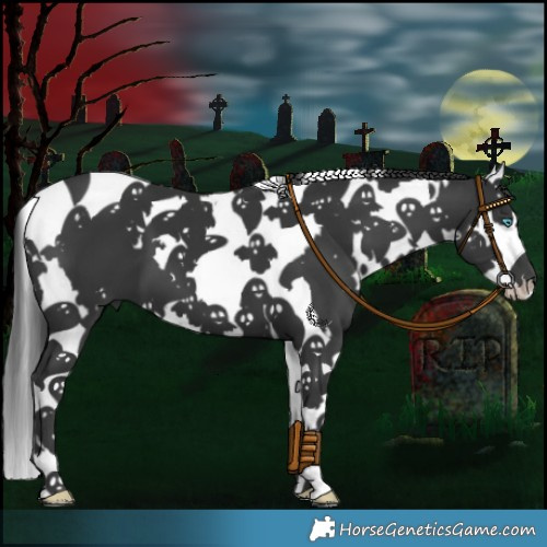 Horse Color:White Spotted Black Splash Tobiano 