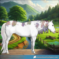 Horse Color:Nacre White Spotted Silver Grullo Sabino Splash Rabicano 