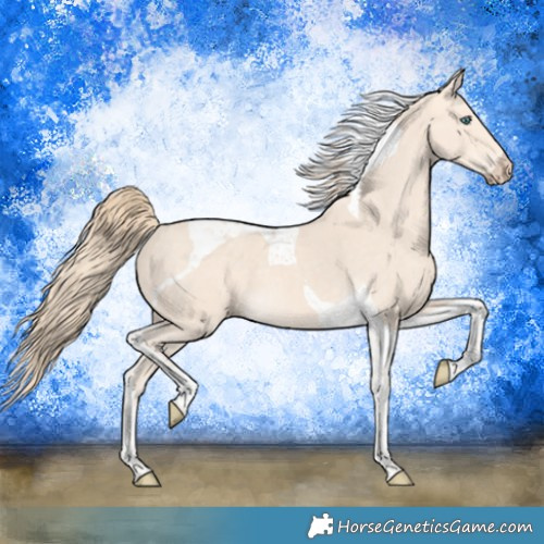 Horse Color:Perlino Tobiano 