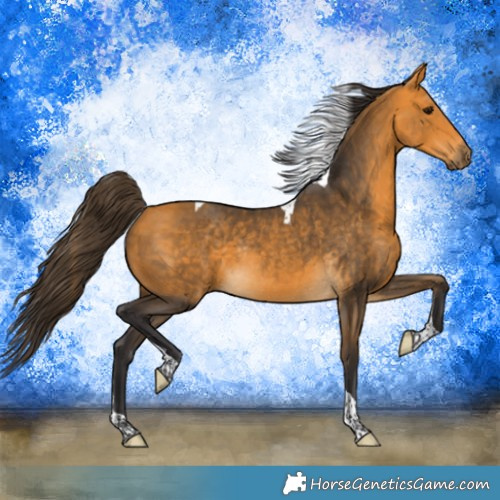 Horse Color:Buckskin Tobiano Rabicano 