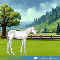 Horse Color:Gold Champagne Dun Tobiano Frame