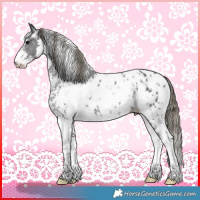 Horse Color:Smoky Black Sabino Appaloosa Rabicano 
