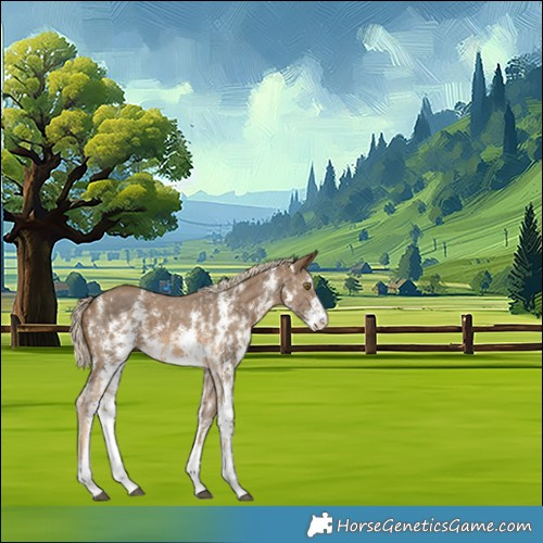 Horse Color:Chocolate Palomino Sabino