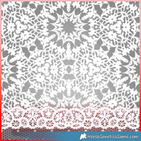 Horse Color:Gray Brown 