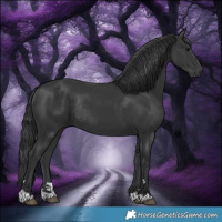 Horse Color:Black Rabicano 