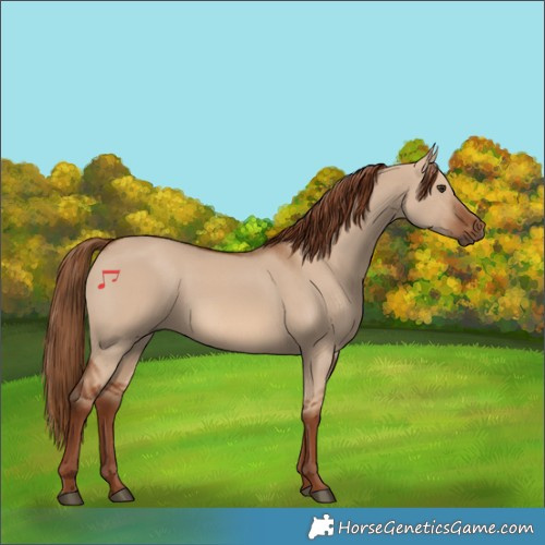 Horse Color:Red Dun 