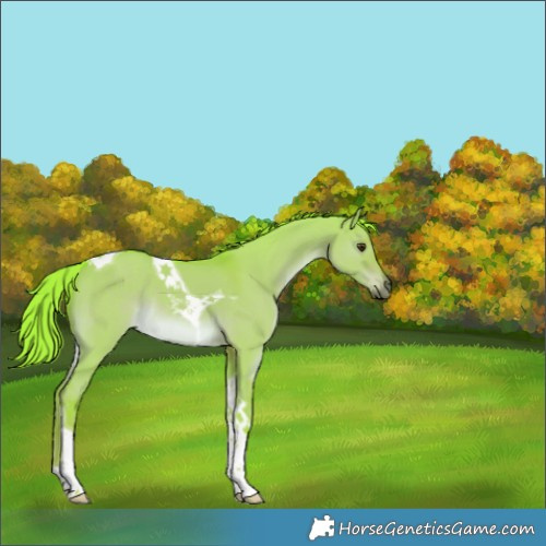 Horse Color:Watercolor Liver Red Dun Tobiano Rabicano 
